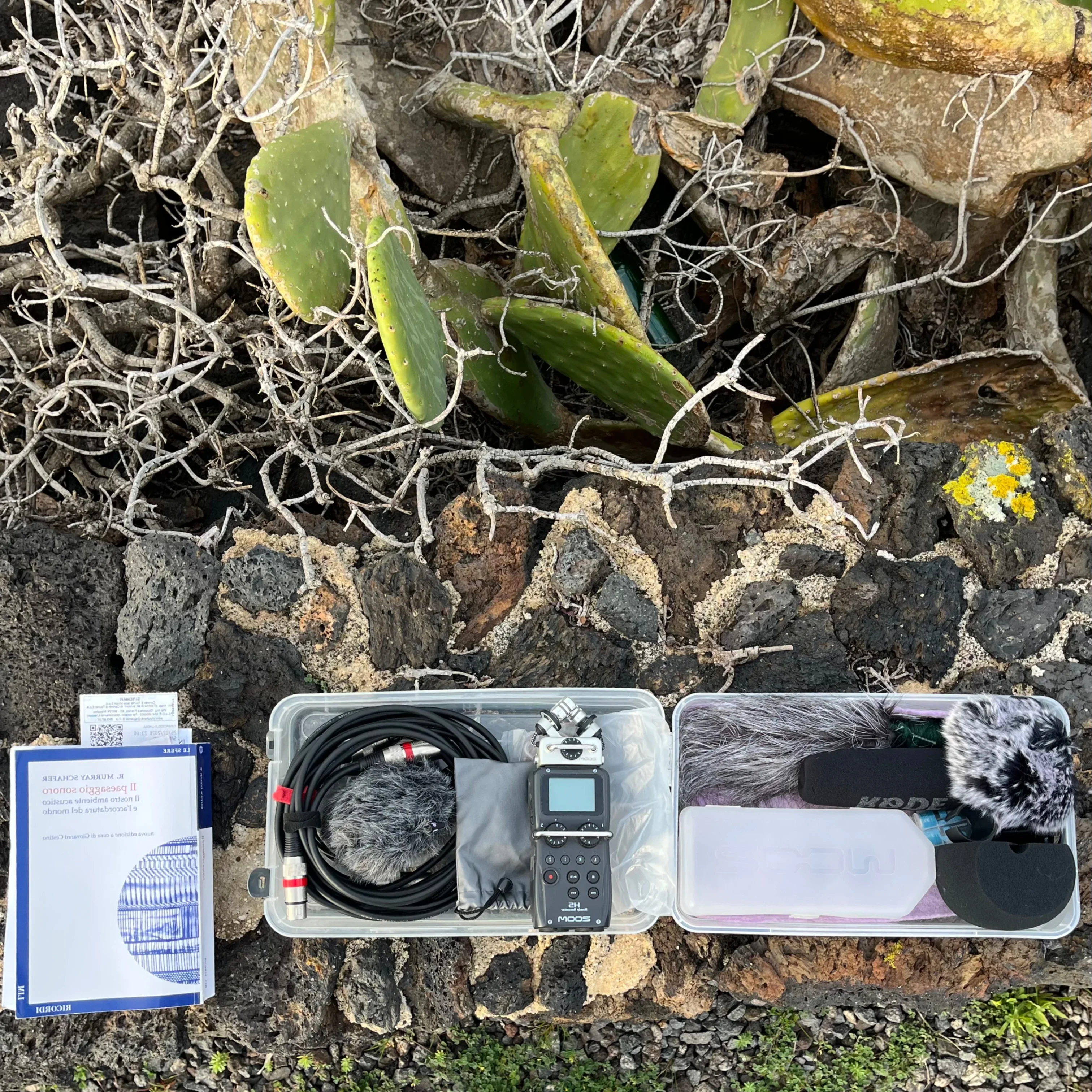 Suonare lo spazio / Suonare il territorio - PIANETA ISOLA - 4